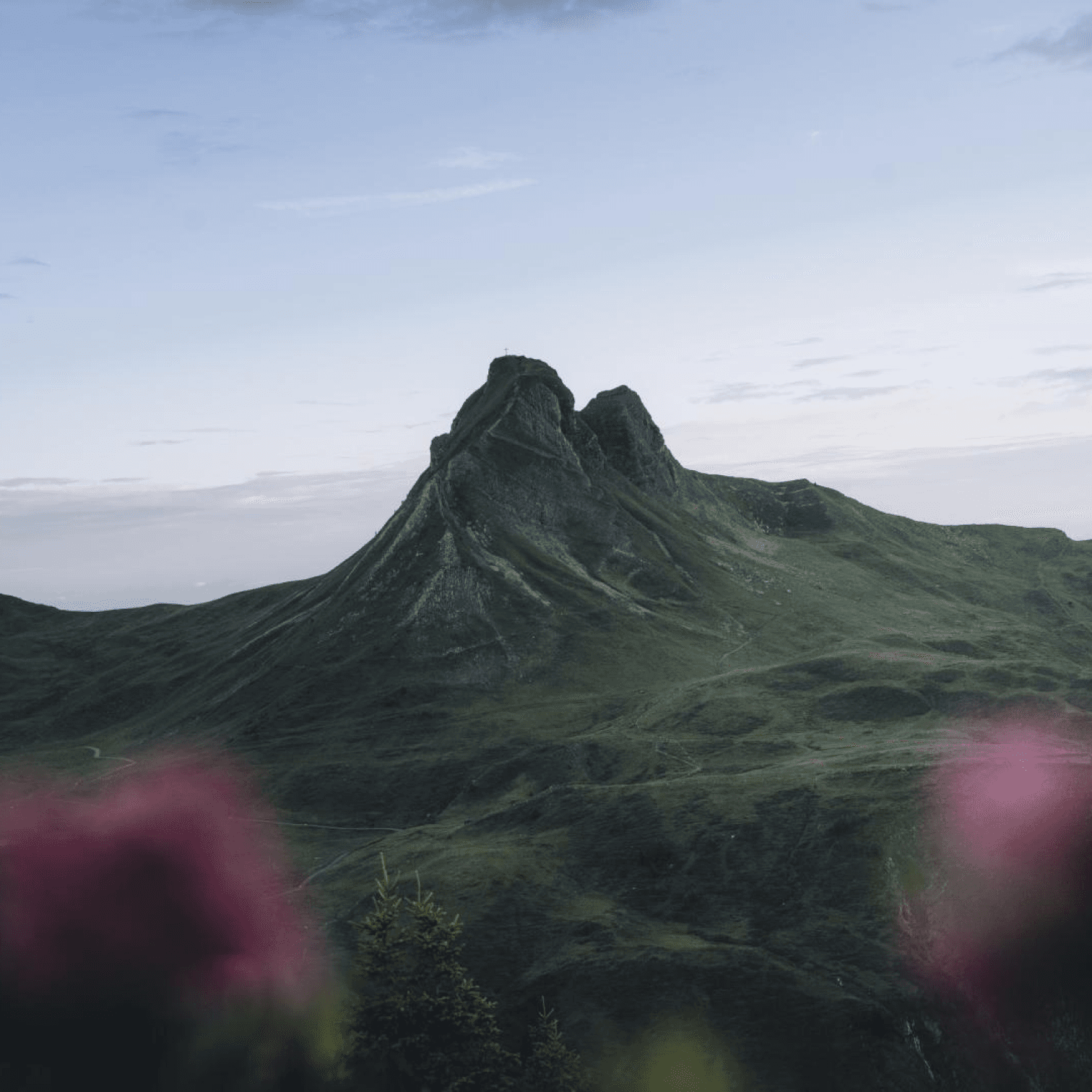 About image 4